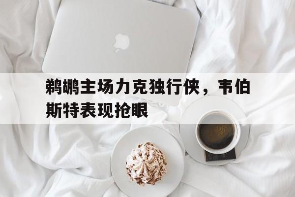 鹈鹕主场力克独行侠，韦伯斯特表现抢眼