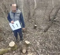包含森林狼后卫连续砍下高分双杀对手的词条